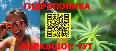 гидропоника Кингисепп