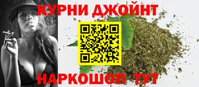 гидропоника Кингисепп