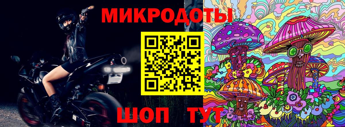 Галлюциногенные грибы Psilocybe  Вход с VPN  Красный Сулин 