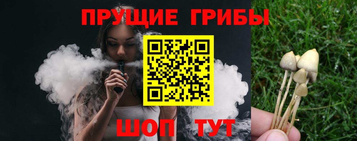 Псилоцибиновые грибы прущие грибы Красный Сулин